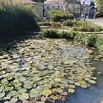Leier * بييشتِني