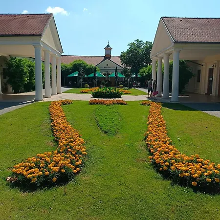 Leier *