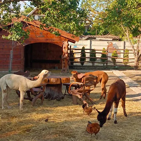 アパート Leier *