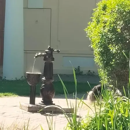 Leier * ピエシュチャニ