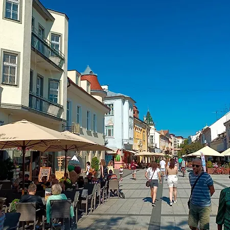 Leier ピエシュチャニ