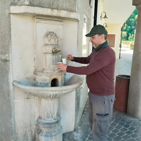 Leier アパート ピエシュチャニ