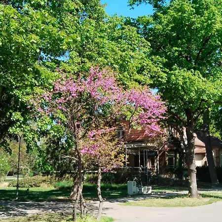 Leier アパート ピエシュチャニ