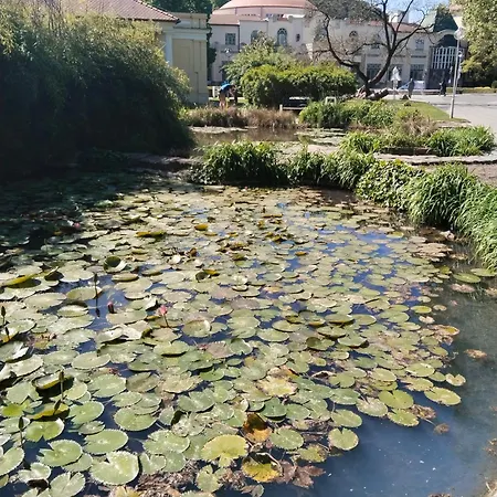 Leier * ピエシュチャニ