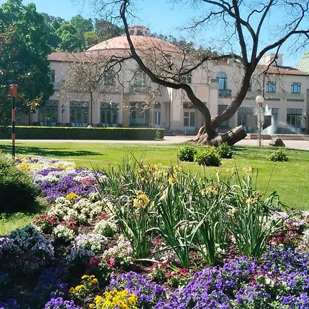 Leier ピエシュチャニ