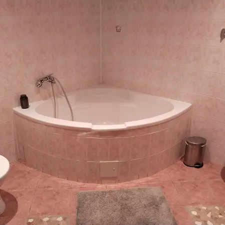 Leier アパート ピエシュチャニ