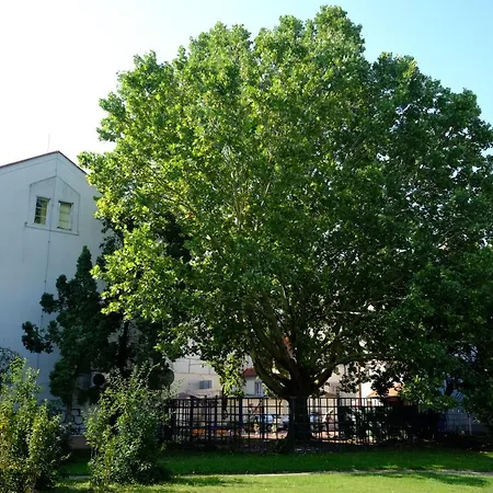 Leier Apartmán *