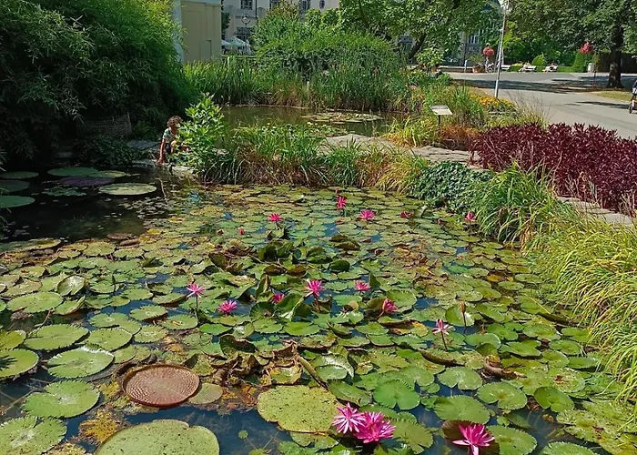 Διαμέρισμα Leier