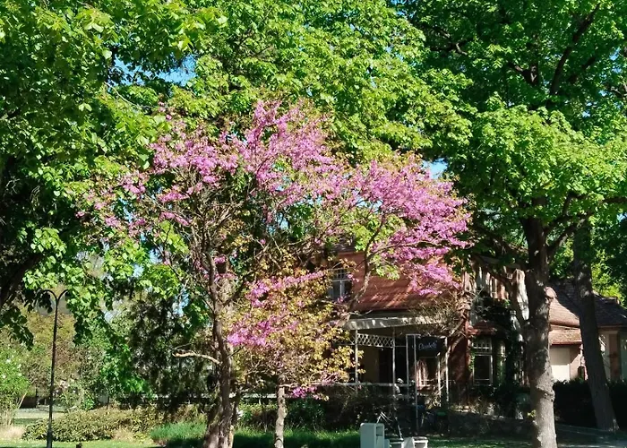 Leier Apartmán Piest'any