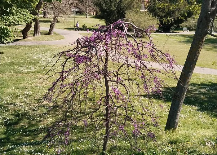 Leier Appartement Piest'any