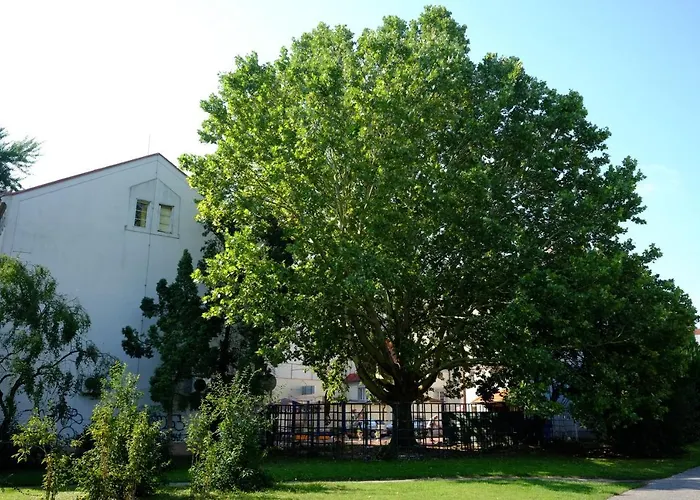 Leier Apartment *